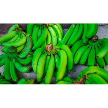 Green Banana  (37)-1184561-87187.webp